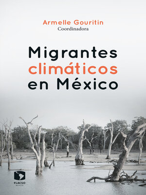 Migrantes climáticos en México - ebook